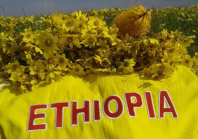 Arrangement pour le nouvel-an éthiopien avec des fleurs d'"adey abeba" ©Tewodros Kassa, CC BY-SA 4.0 Wikimedia Commons