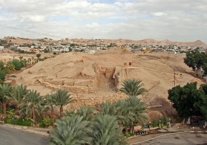 ©Tamar Hayardeni (Tamarah), CC BY 3.0 Wikimedia Commons