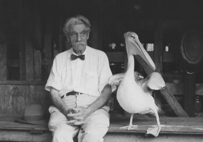 L'être humain fait partie de la création: c'est le grand apport d'Albert Schweitzer, penseur inclassable. Ici avec Parsifal, "son" pélican. © Archives Centrales Albert Schweizer Gunsbach / E. Anderson