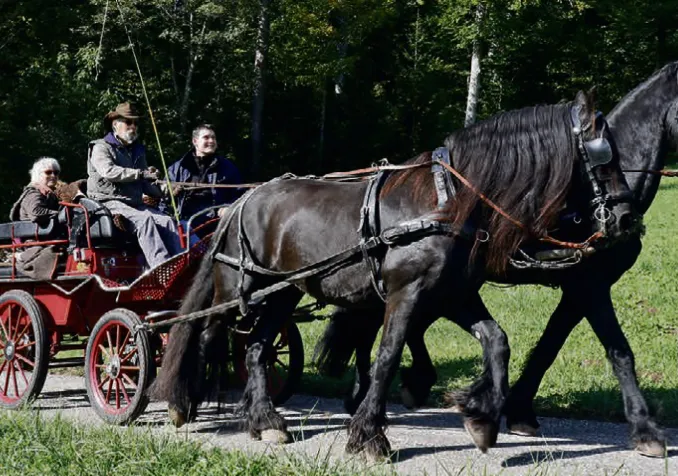 Le diacre en formation Eric Bianchi (à droite à côté du cocher) et quelques paroissiens en tournée d'essai. © DR