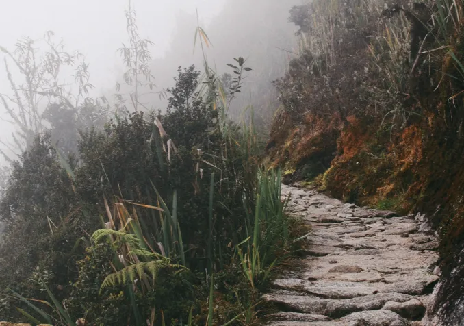 © John Salzarulo / Unsplash