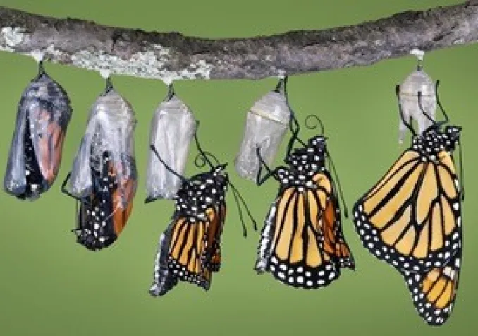 © Mathieu Bouvier. www.pourunatlasdesfigures.net