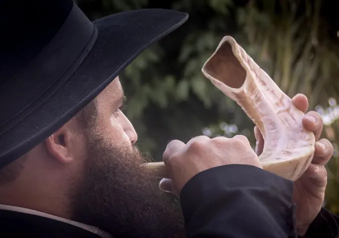 Le shofar, traditionnellement utilisé pour les grandes fêtes juives ©Wikimedia Commons/MinoZig/CC BY-SA 4.0