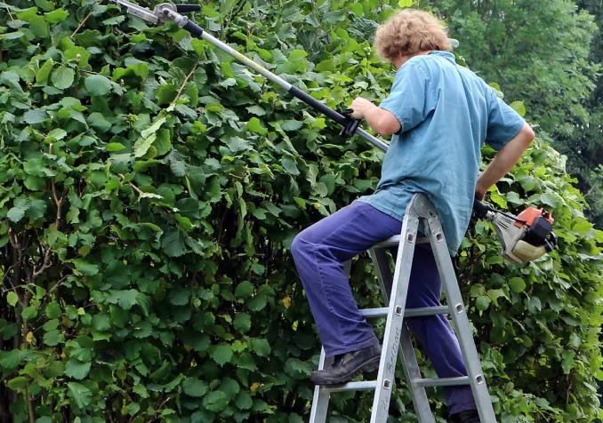 Quand l'Esprit façonne la nature