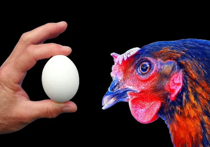 CC0 Papynoun / Pixabay