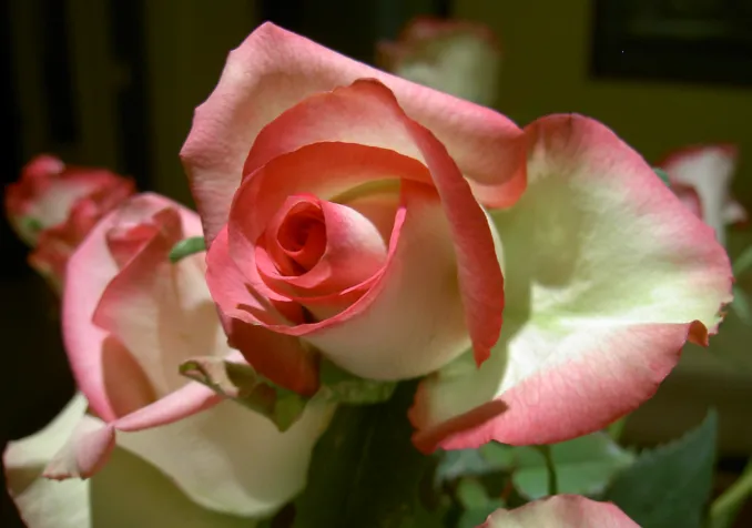 Flickr CC BY-NC-ND 2.0 Michelle