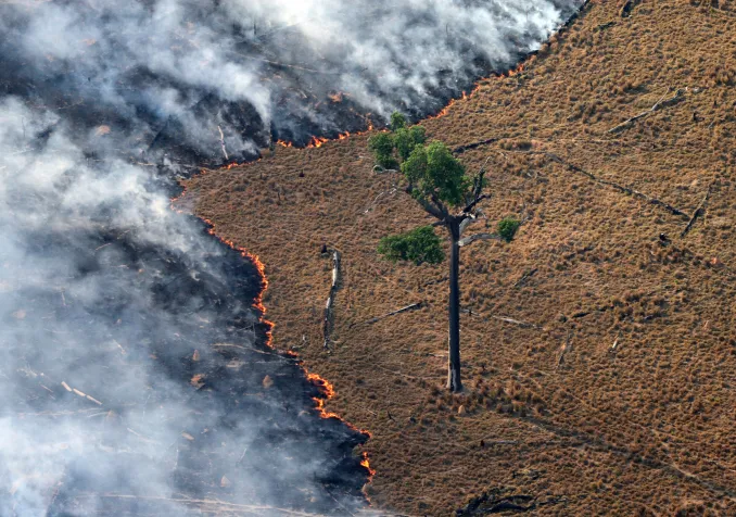 © Greenpeace | Rodrigo Baléia