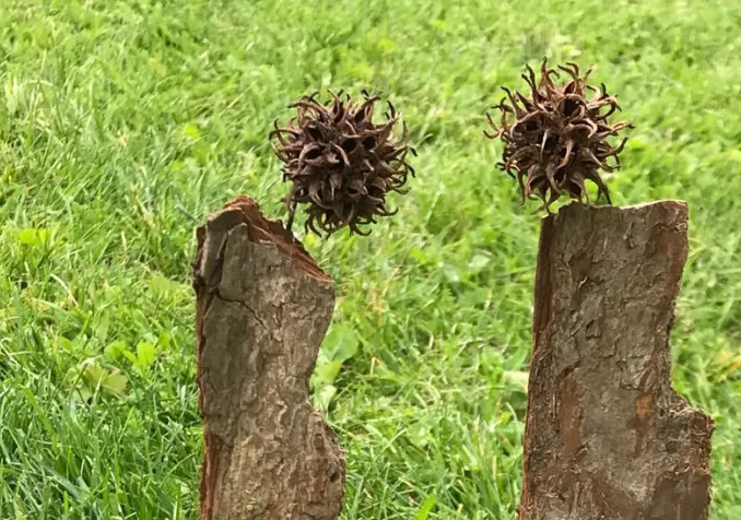 Stage Imago : la vie de couple Stage Couple Imago - Créer et cultiver un lien épanouissant