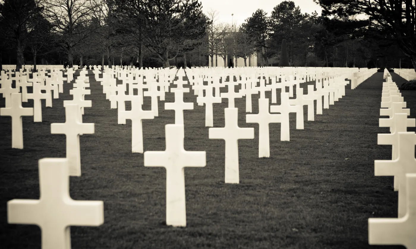 © CC(by) Flickr/Gaetan Zaraforoushan