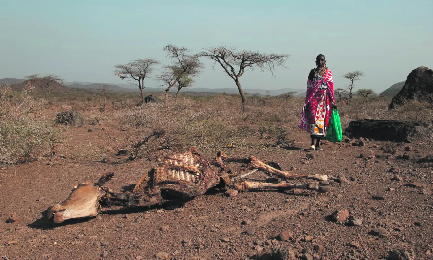 De 2008 à 2014, 184,4 millions de personnes ont dû fuir à cause d'inondations, de tremblements de terre, de tempêtes tropicales ou de sécheresses, soit une personne par seconde. © DR PPP