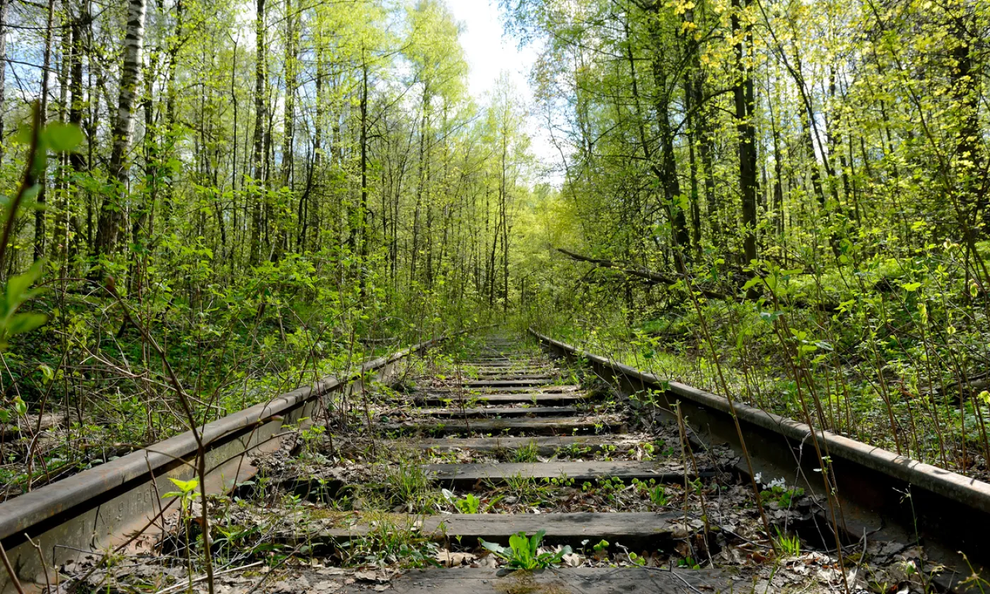 Chemin de fer abandonné dans la forêt ©iStock/FedotovAnatoly