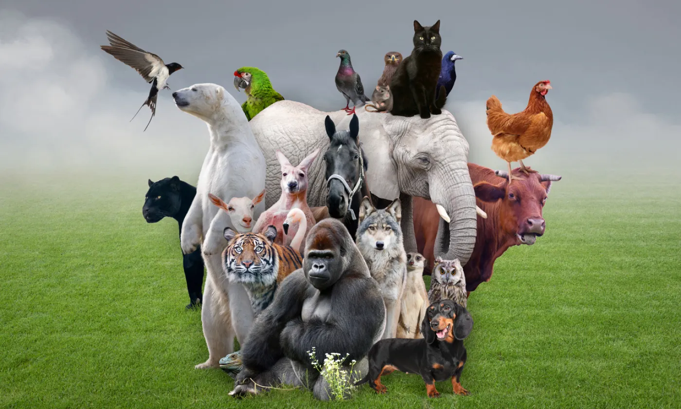 Alors que les antispécistes revendiquent de considérer les animaux comme des individus à part entière, que sait-on réellement de leur vie intérieure et de leur possible spiritualité? IStock