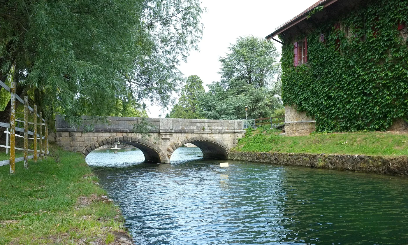 ©iStock / Yves Grau