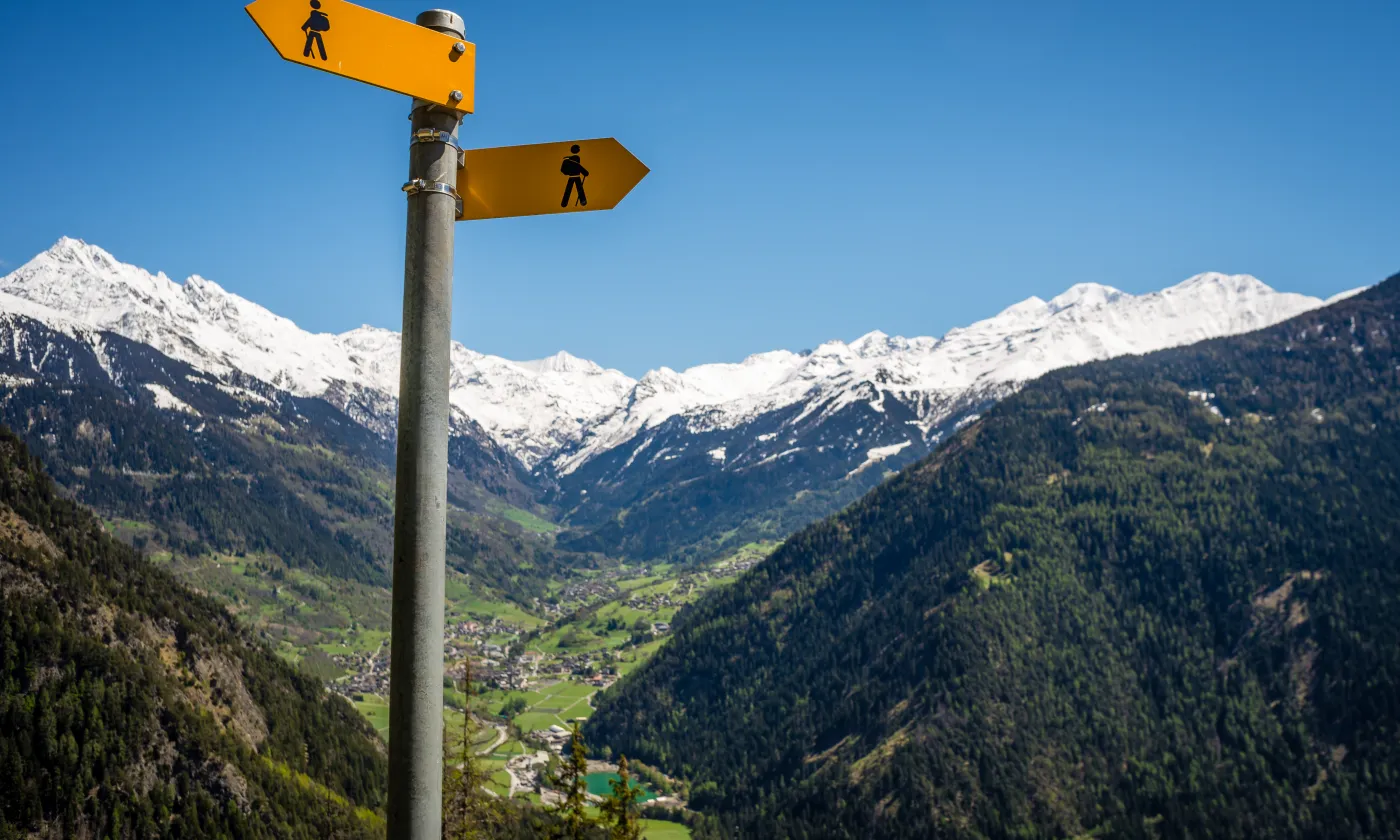 © Istock / cdbrphotography