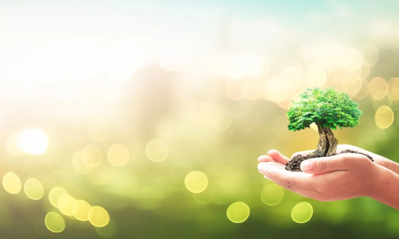 Juste avant la pandémie, un colloque sur la théologie verte a réuni une vingtaine de chercheurs à la Faculté de théologie protestante de Strasbourg.  IStock