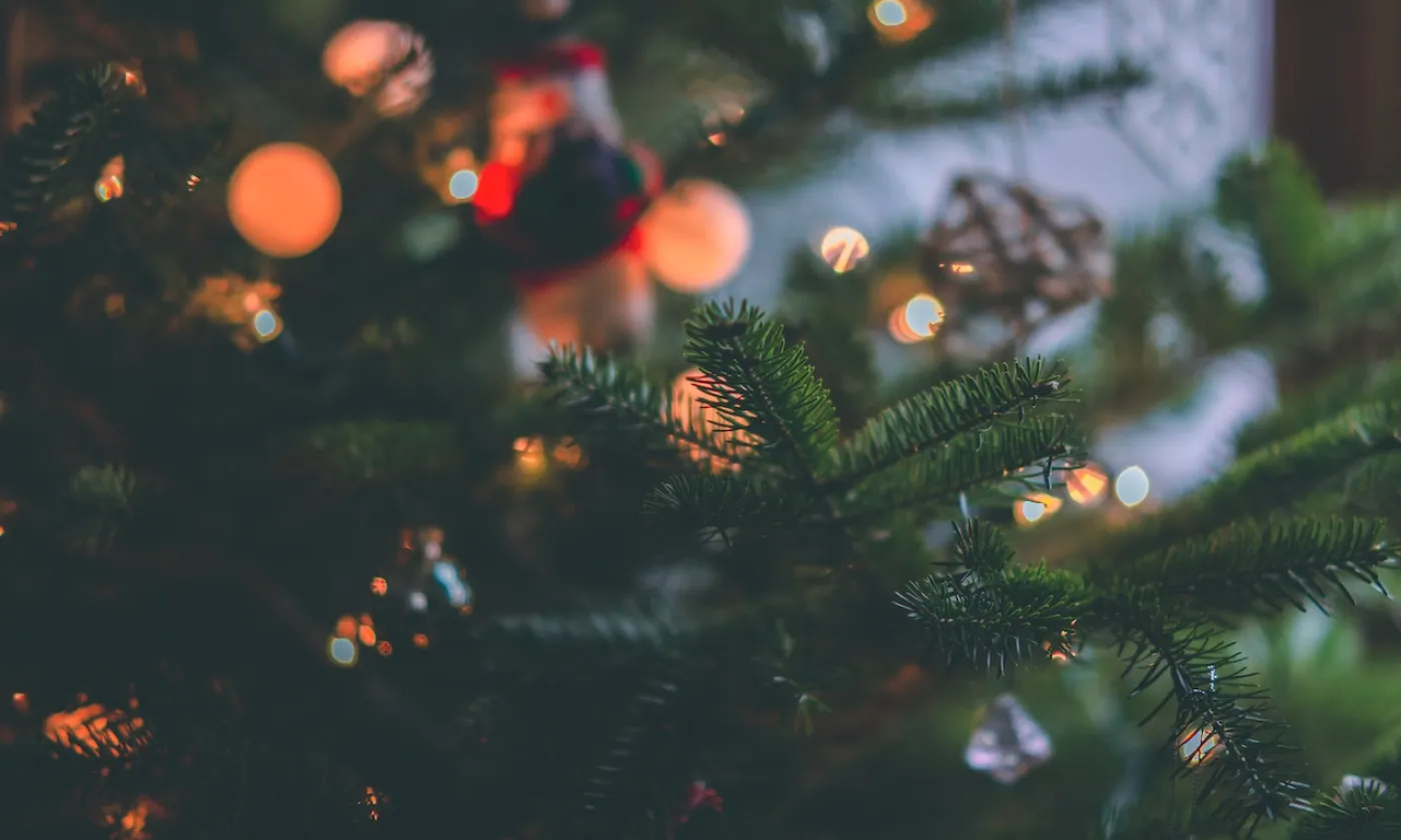 christmas tree-craig-adderley-1671867.jpg