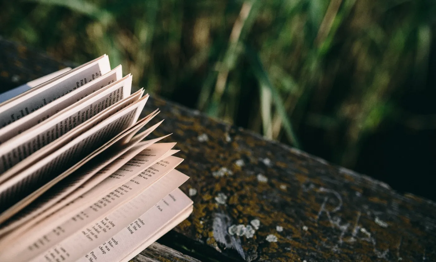 Des livres pour Pâques piqsels.com-id-szhfj.jpg