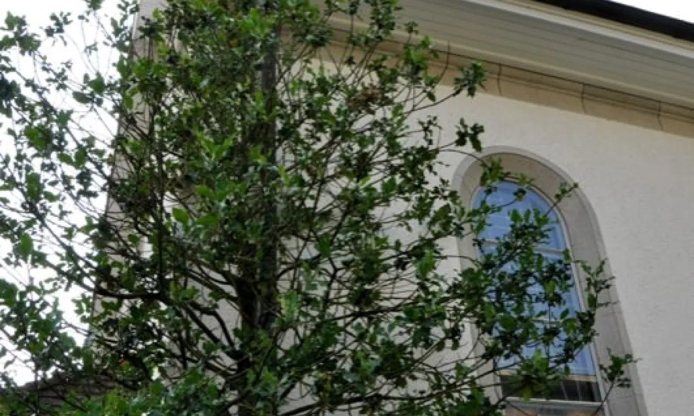 Alexandra Urfer Jungen