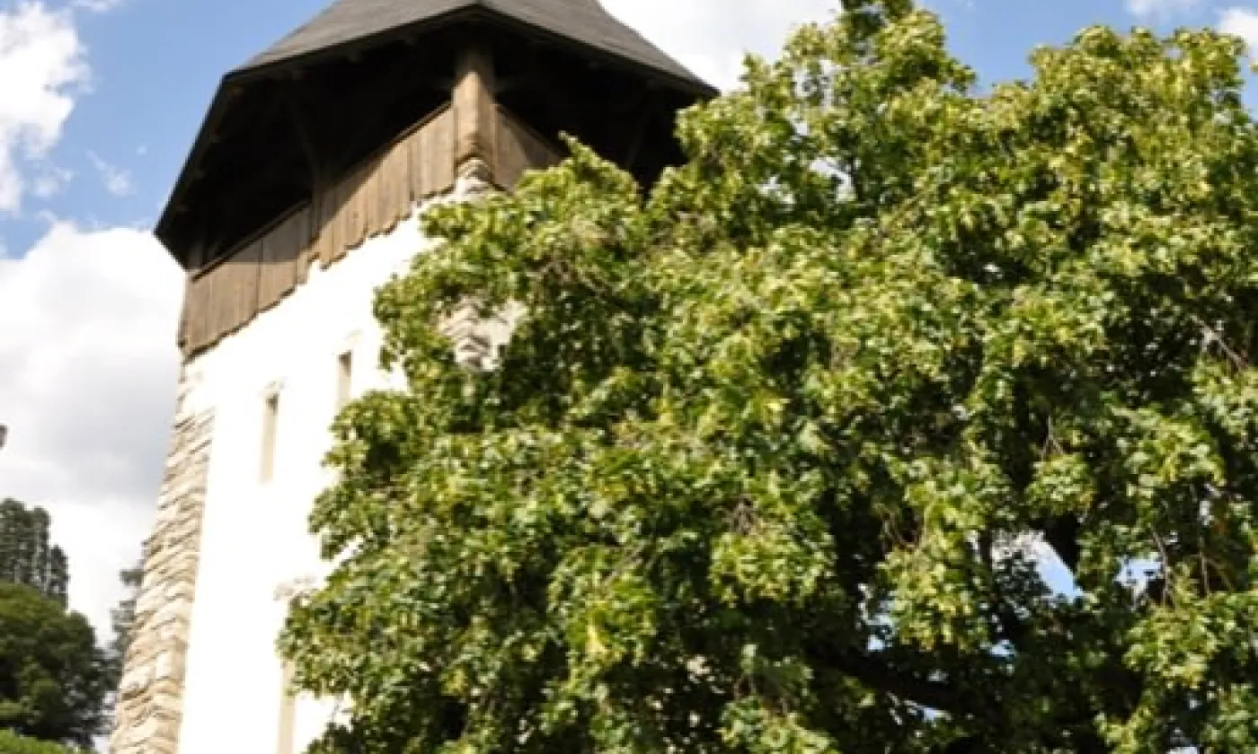 Alexandra Urfer Jungen