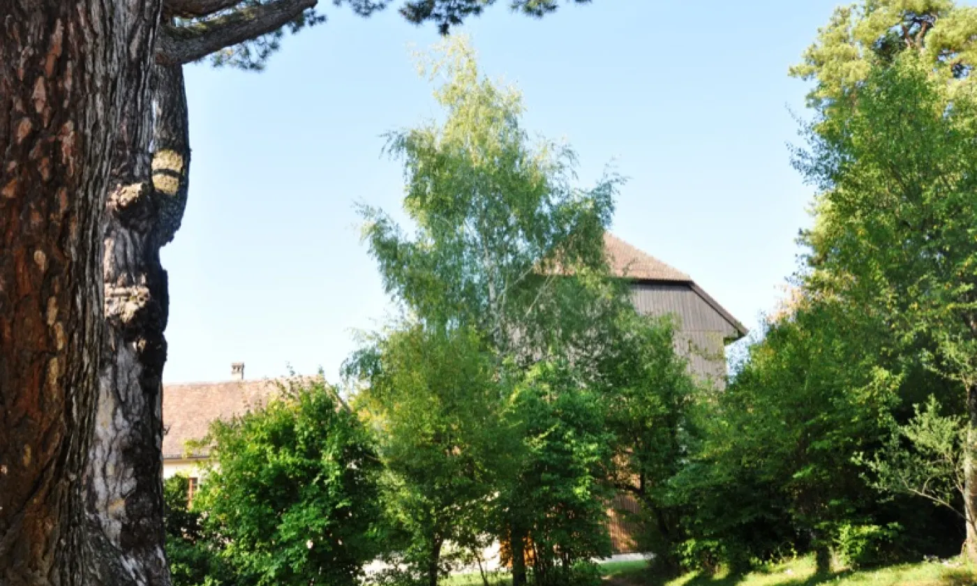 Alexandra Urfer Jungen