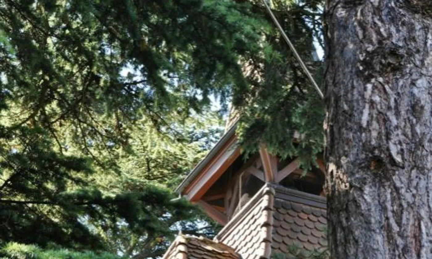 Alexandra Urfer Jungen