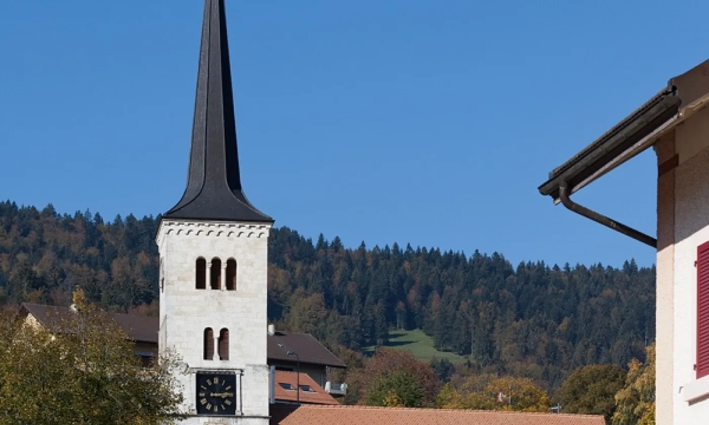 Wikimedia CC-BY-3_0-Roland Zumbuehl